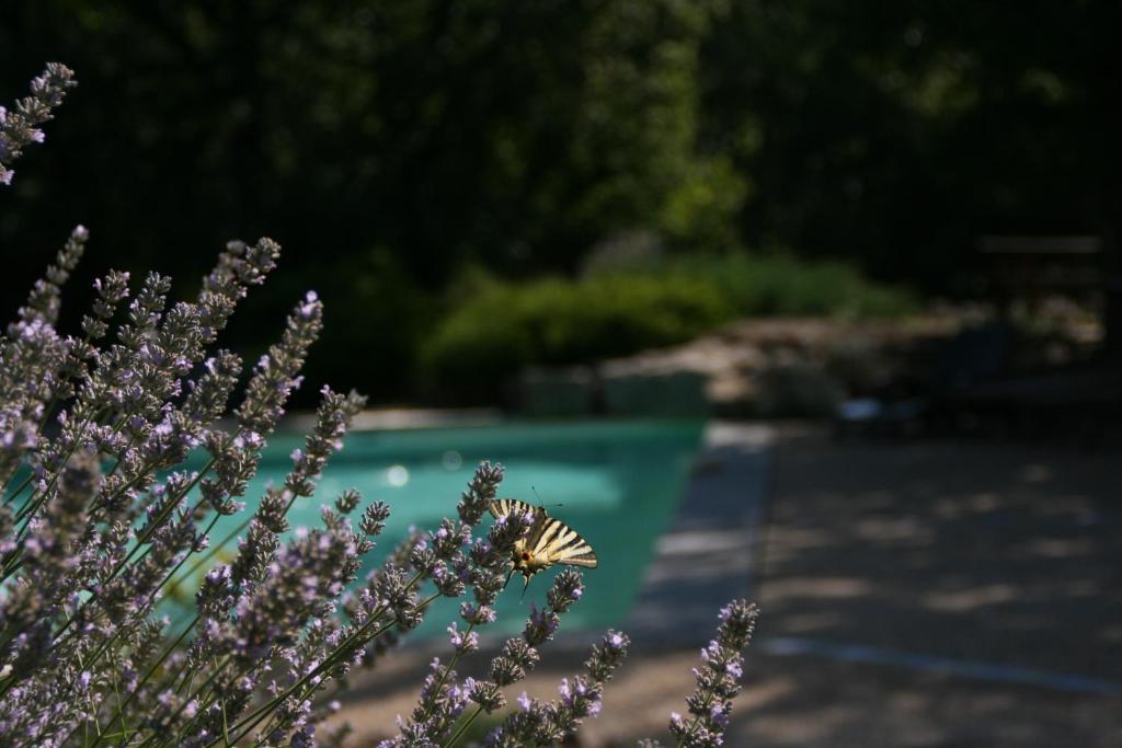 La Villa Des Pins Verrieres  ภายนอก รูปภาพ